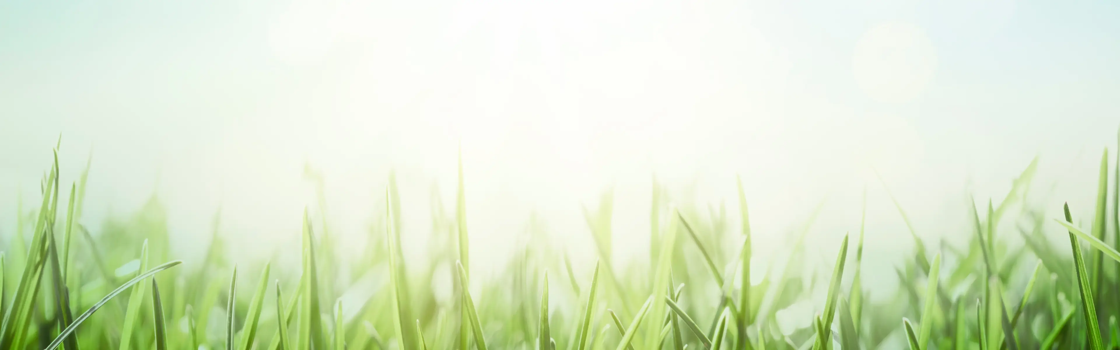 Hintergrundbild Anwendungsgebiete – NATUVISAN Produktübersicht nach Thema